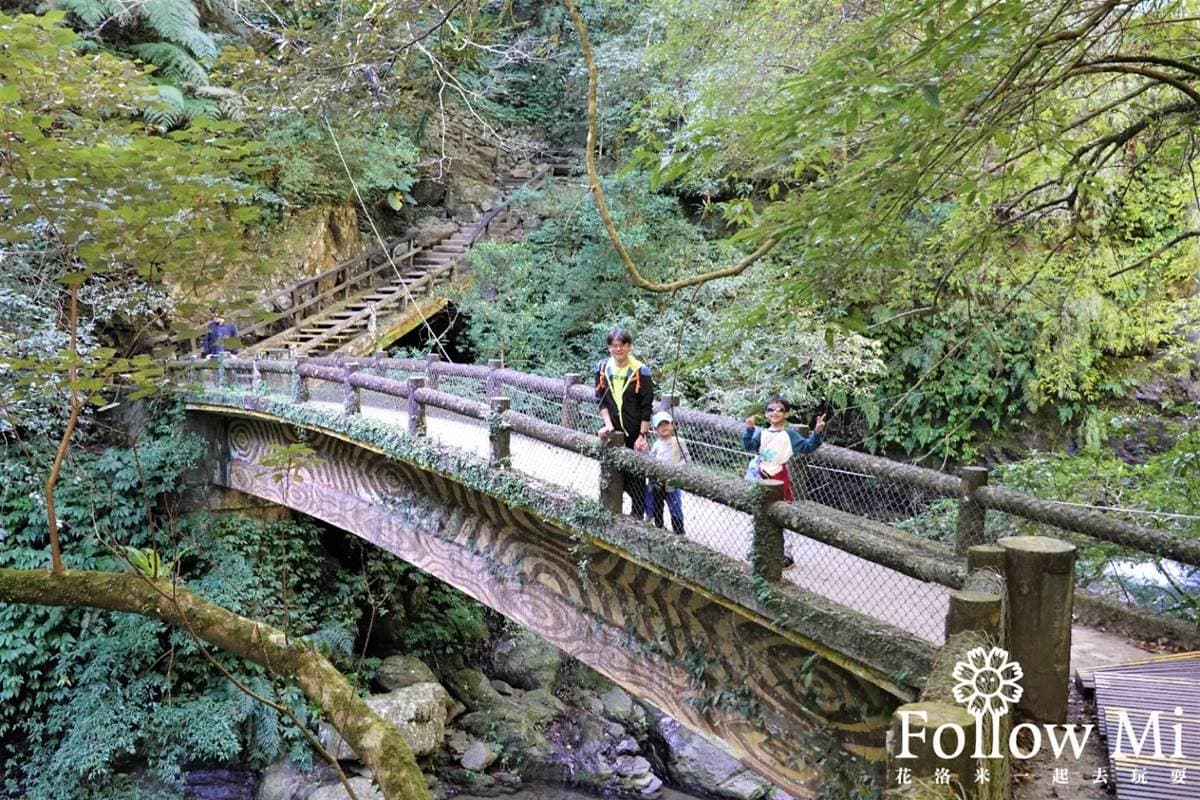 大口吸芬多精！三峽森林遊樂園區能賞瀑布、看鳥明星，還有３大室內館區玩不膩