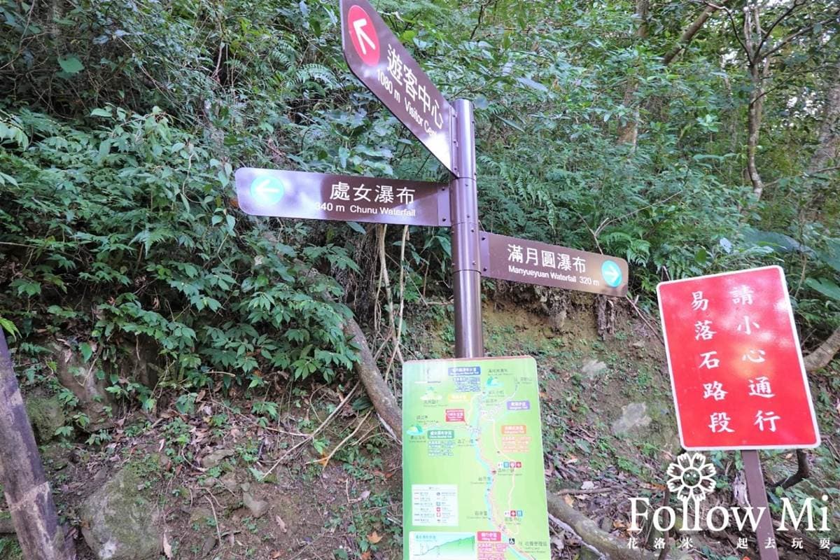 大口吸芬多精！三峽森林遊樂園區能賞瀑布、看鳥明星，還有３大室內館區玩不膩