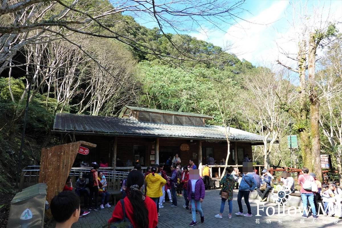 大口吸芬多精！三峽森林遊樂園區能賞瀑布、看鳥明星，還有３大室內館區玩不膩