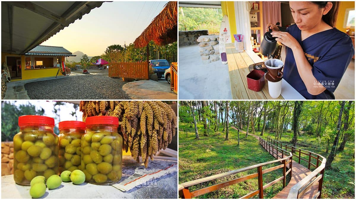假日限定！庭園咖啡廳喝「自種自烘」手沖配山林美景，還能買自釀脆梅當伴手