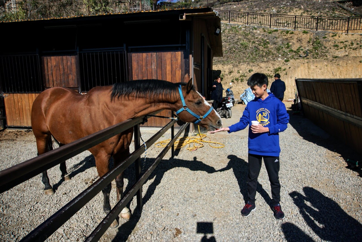 擁抱無敵山景！清境歐風莊園旅店「無邊際泳池」超美拍，還能一邊泡澡一邊看星星