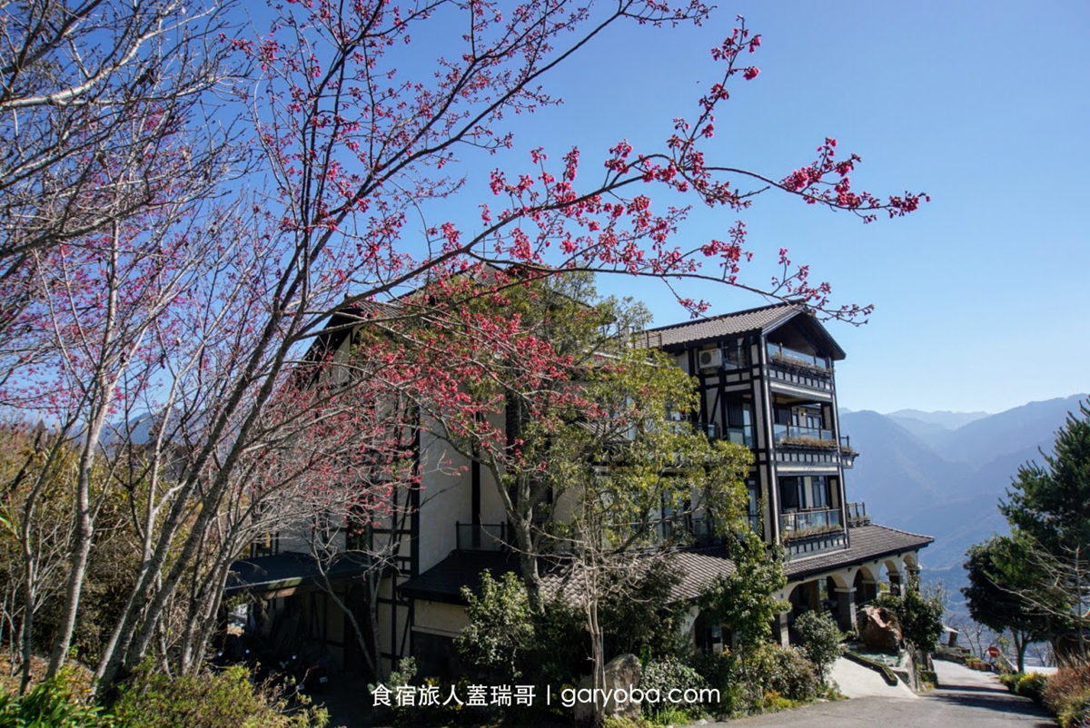 擁抱無敵山景！清境歐風莊園旅店「無邊際泳池」超美拍，還能一邊泡澡一邊看星星
