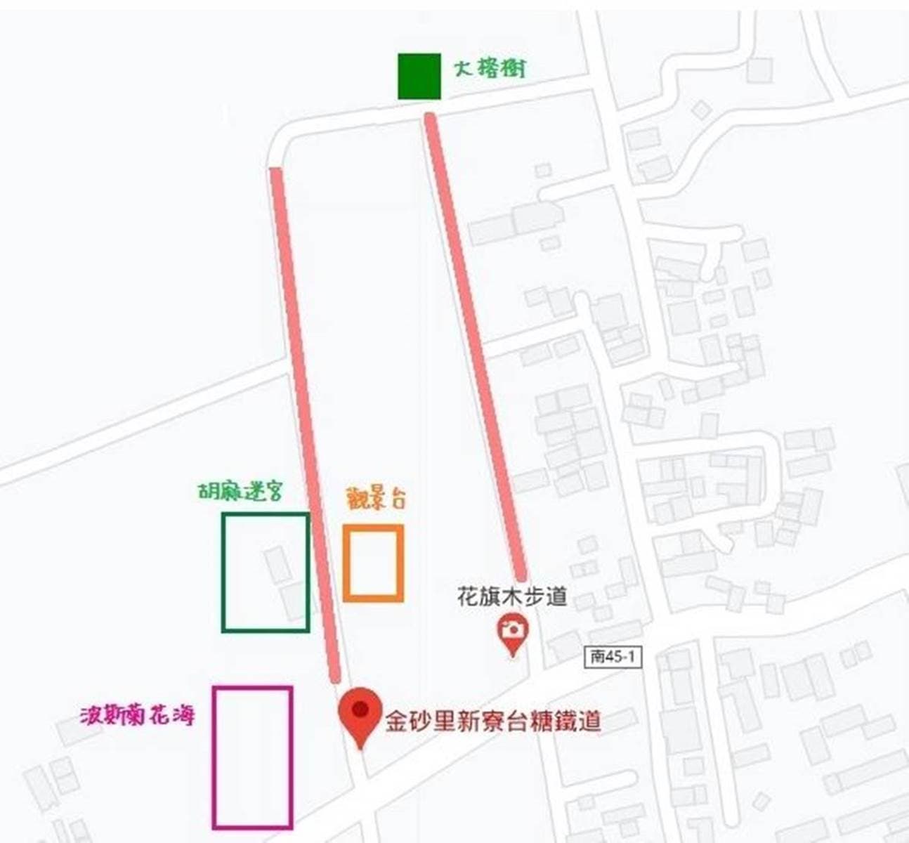 台南夢幻粉紅步道！成排花旗木+鐵道超美拍，還能順遊胡麻迷宮、波斯菊花田