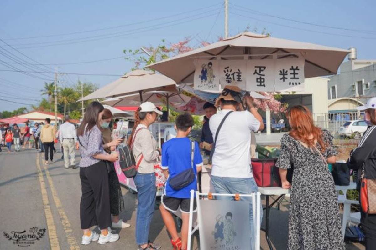 台南夢幻粉紅步道！成排花旗木+鐵道超美拍，還能順遊胡麻迷宮、波斯菊花田