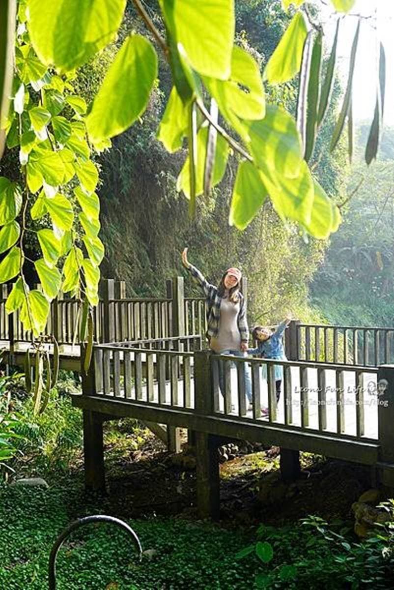 帶小孩來探險！打卡台中超神祕「蝙蝠洞」，順遊大吊橋還可踏青走步道