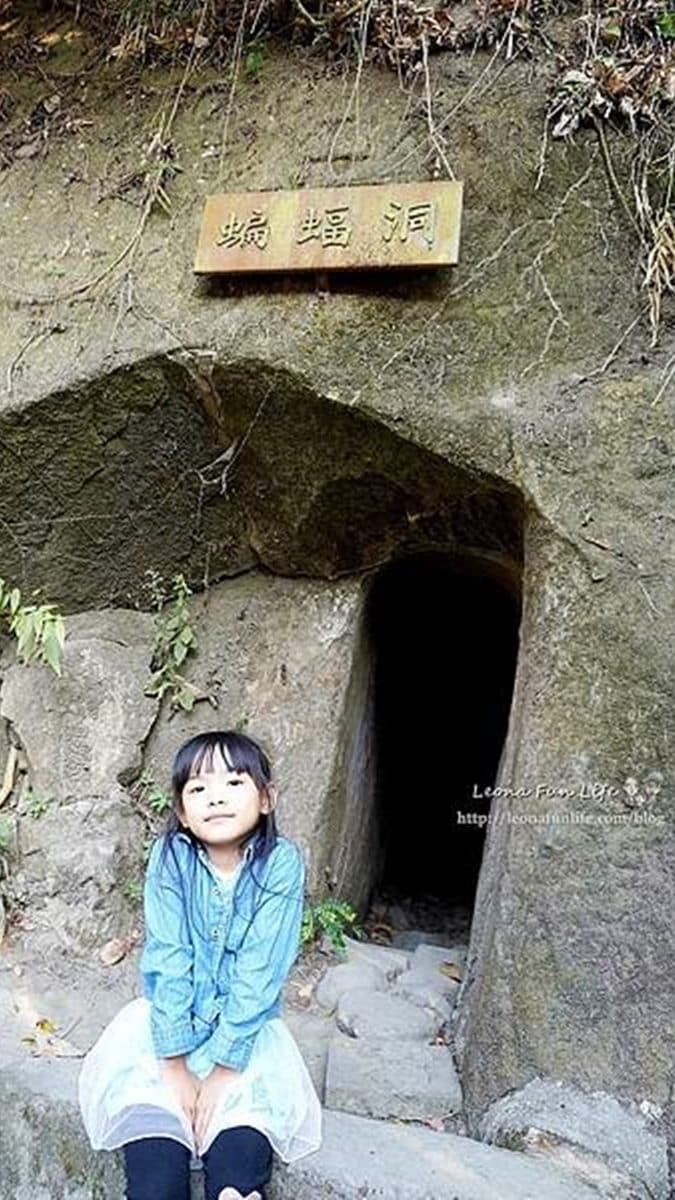 帶小孩來探險！打卡台中超神祕「蝙蝠洞」，順遊大吊橋還可踏青走步道