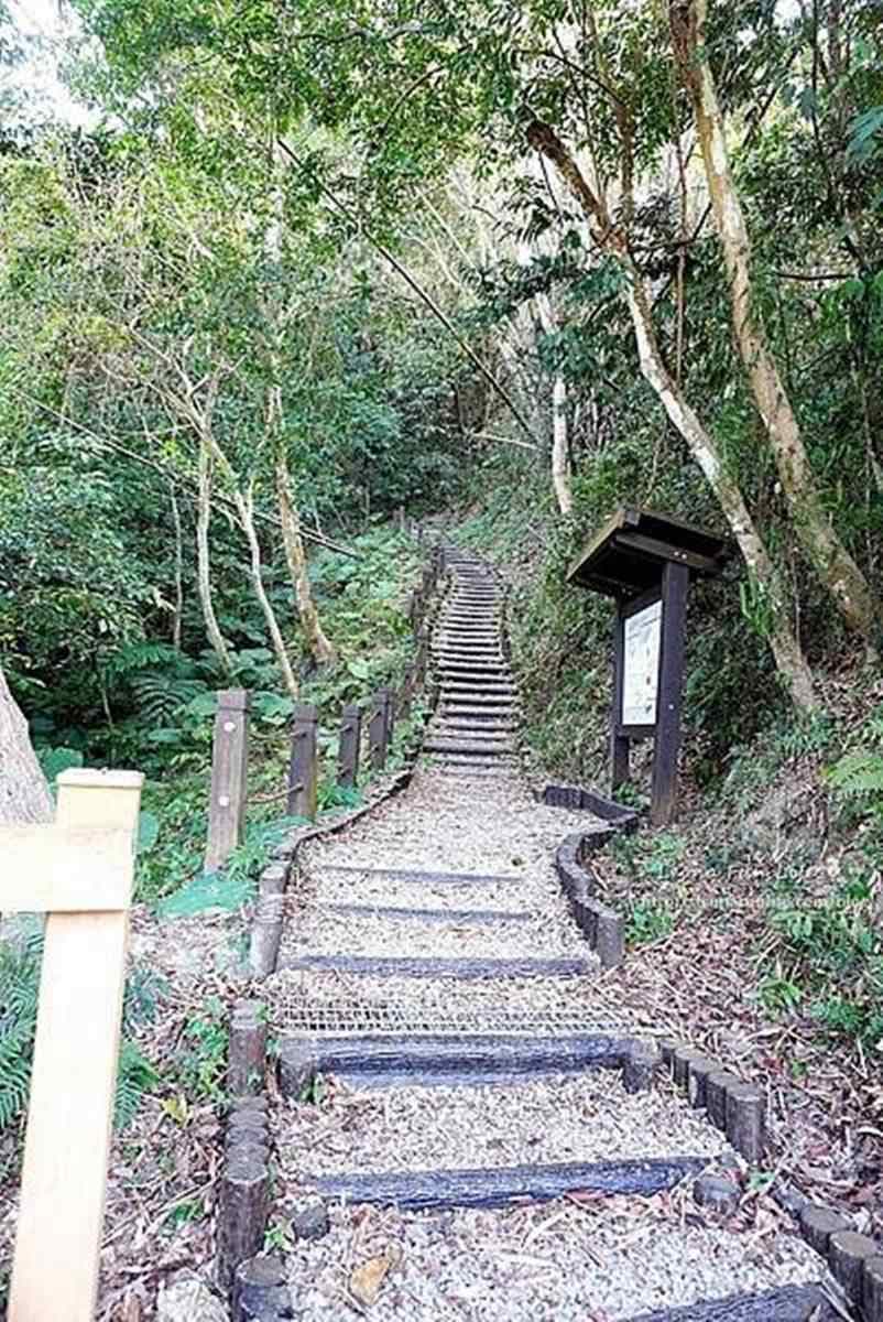 帶小孩來探險！打卡台中超神祕「蝙蝠洞」，順遊大吊橋還可踏青走步道