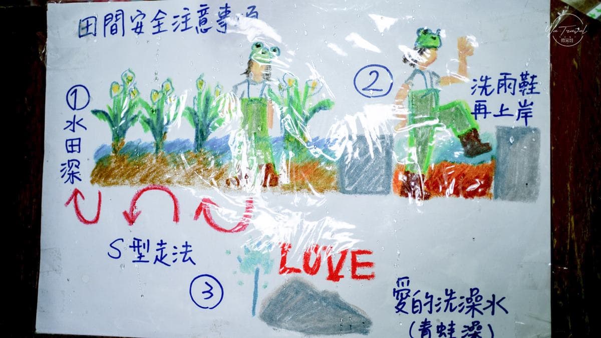 美拍陽明山海芋花海!純白色系超夢幻,「粉紅木門」IG必打卡 美拍陽明山海芋花海!純白色系超夢幻,「粉紅木門」IG必打卡