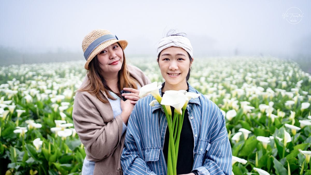 美拍陽明山海芋花海!純白色系超夢幻,「粉紅木門」IG必打卡 美拍陽明山海芋花海!純白色系超夢幻,「粉紅木門」IG必打卡