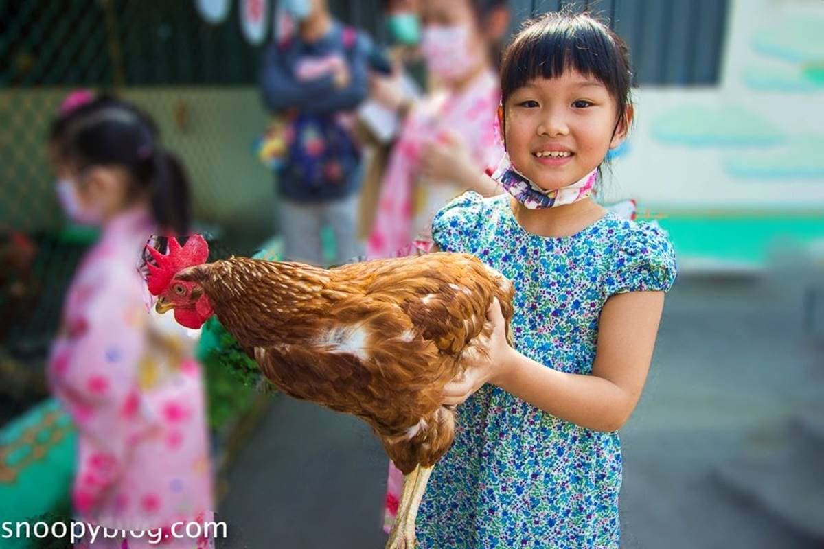 大人小孩都好玩！桃園觀光工廠美拍「千本鳥居」、體驗日式浴衣，還能蛋塔DIY