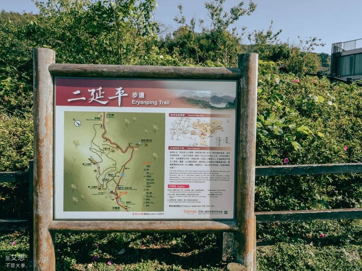 阿里山超Chill祕境!1公里親山步道可賞雲瀑、走竹林,還能拍最美茶園 阿里山超Chill祕境!1公里親山步道可賞雲瀑、走竹林,還能拍最美茶園