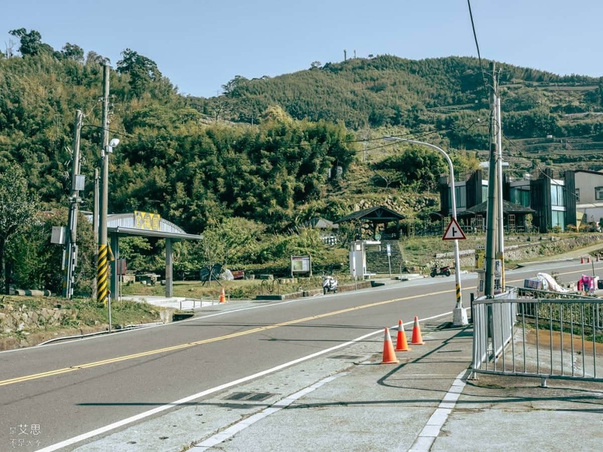 阿里山超Chill祕境!1公里親山步道可賞雲瀑、走竹林,還能拍最美茶園 阿里山超Chill祕境!1公里親山步道可賞雲瀑、走竹林,還能拍最美茶園
