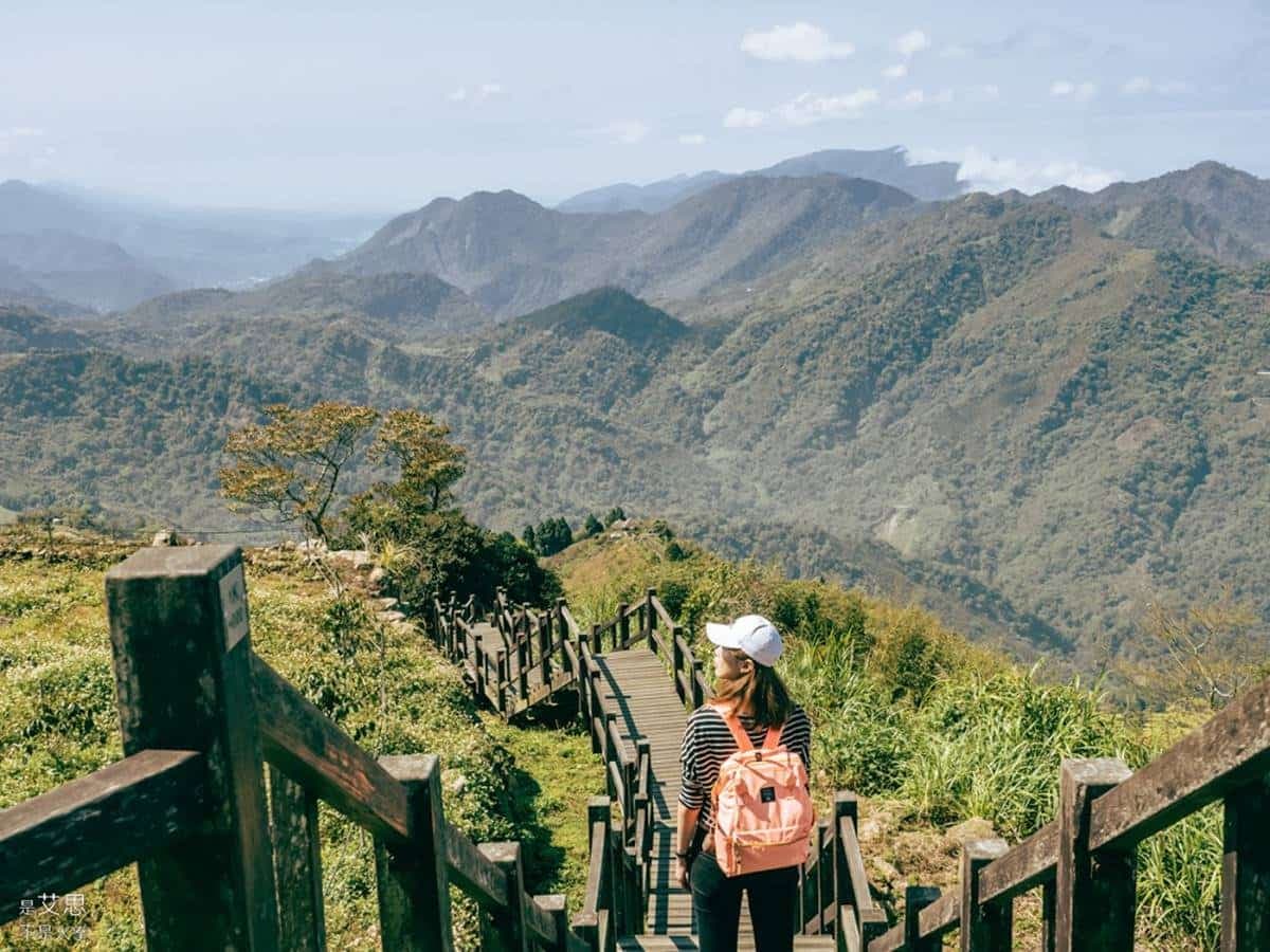 阿里山超Chill祕境!1公里親山步道可賞雲瀑、走竹林,還能拍最美茶園 阿里山超Chill祕境!1公里親山步道可賞雲瀑、走竹林,還能拍最美茶園