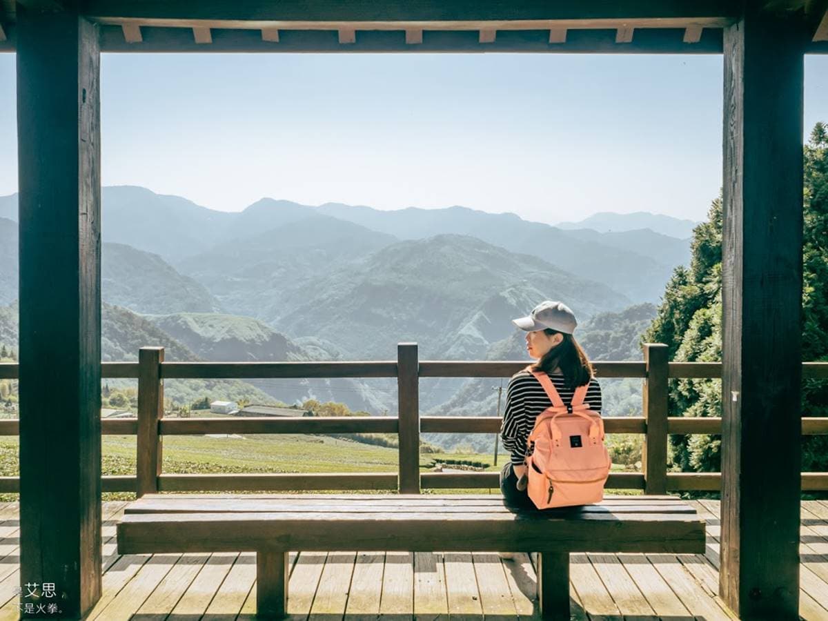 阿里山超Chill祕境!1公里親山步道可賞雲瀑、走竹林,還能拍最美茶園 阿里山超Chill祕境!1公里親山步道可賞雲瀑、走竹林,還能拍最美茶園