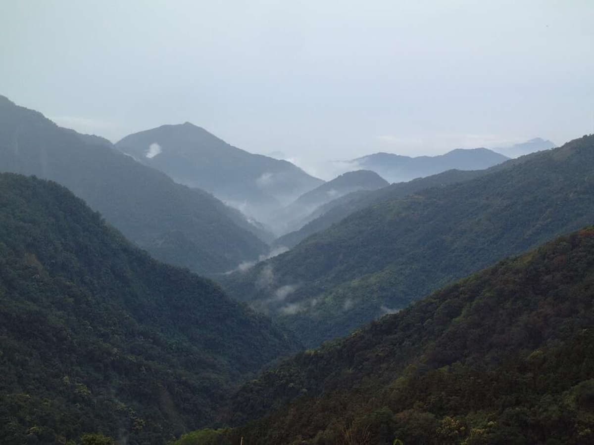 森林版「聽海哭的聲音」！南部「小溪頭」每天只開放500人，一次拍到玉山、卑南主山