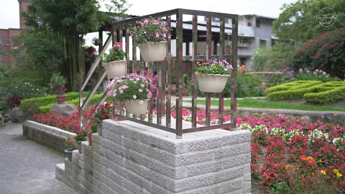免費賞花點+1！小木屋前美拍「蝶舞花海」好夢幻，小綠龍造型植栽也可愛