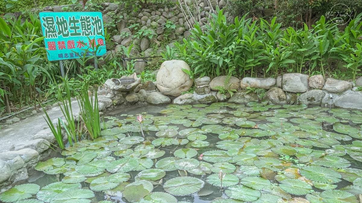 免費賞花點+1！小木屋前美拍「蝶舞花海」好夢幻，小綠龍造型植栽也可愛