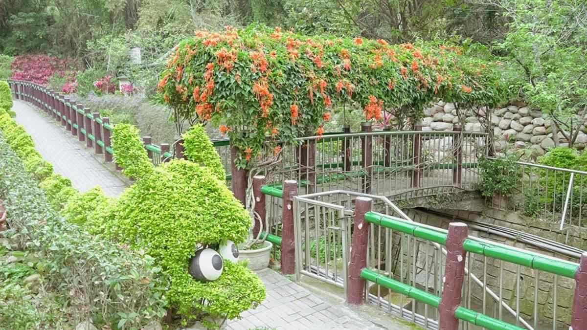 免費賞花點+1！小木屋前美拍「蝶舞花海」好夢幻，小綠龍造型植栽也可愛