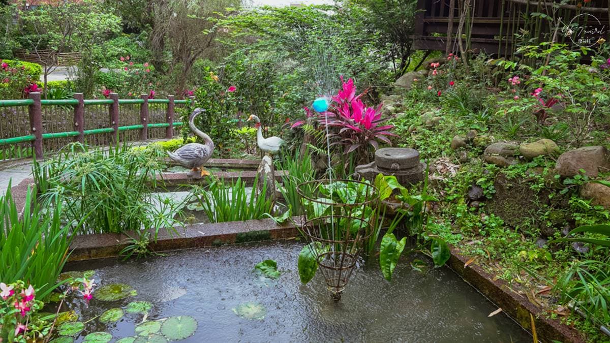 免費賞花點+1！小木屋前美拍「蝶舞花海」好夢幻，小綠龍造型植栽也可愛