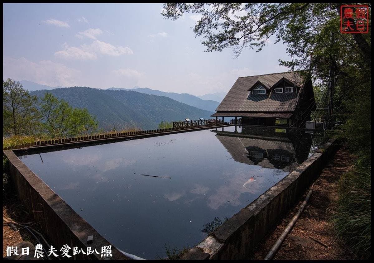 夢幻白藤花也開了！武陵農場「爆棚紫藤」、稀奇蘋果花一次追，還能夜拍絕美星軌