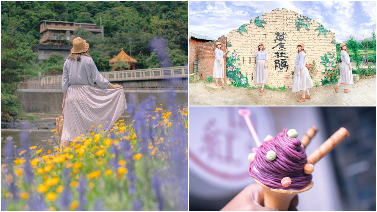 網美衝打卡！萬里親水步道「杜鵑＆法國薰衣草」超好拍，還能順遊吃「紫色」霜淇淋