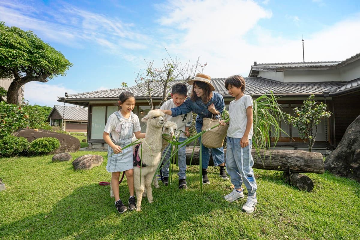 動物控注意！２大旅宿免費互動水豚君、羊駝和狐獴，IG好友滿千人可報名「免費入住」