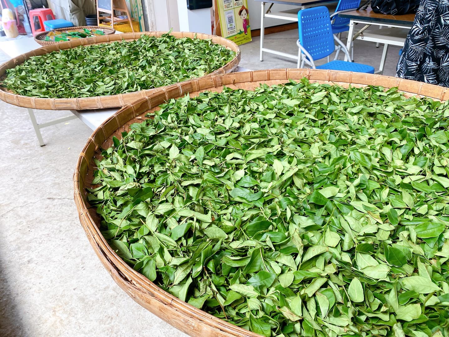 初鄉茶間 img