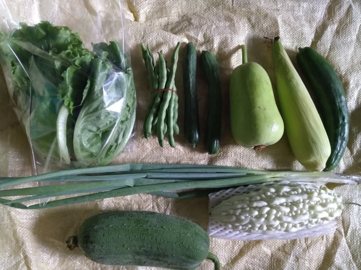 燕華媽媽友善蔬果