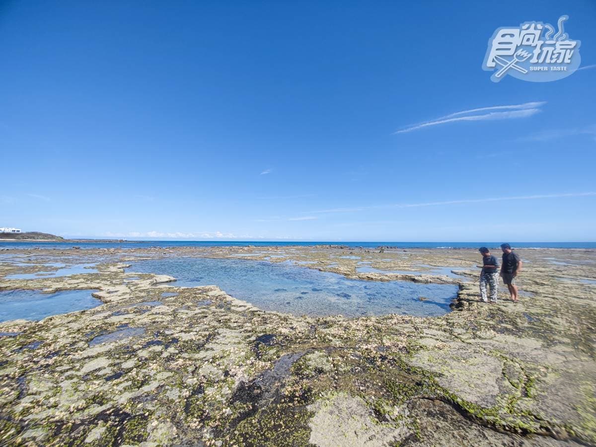「覓海灣」獨享遼闊潮間帶，多樣的海洋生物隨時都會帶來驚喜。