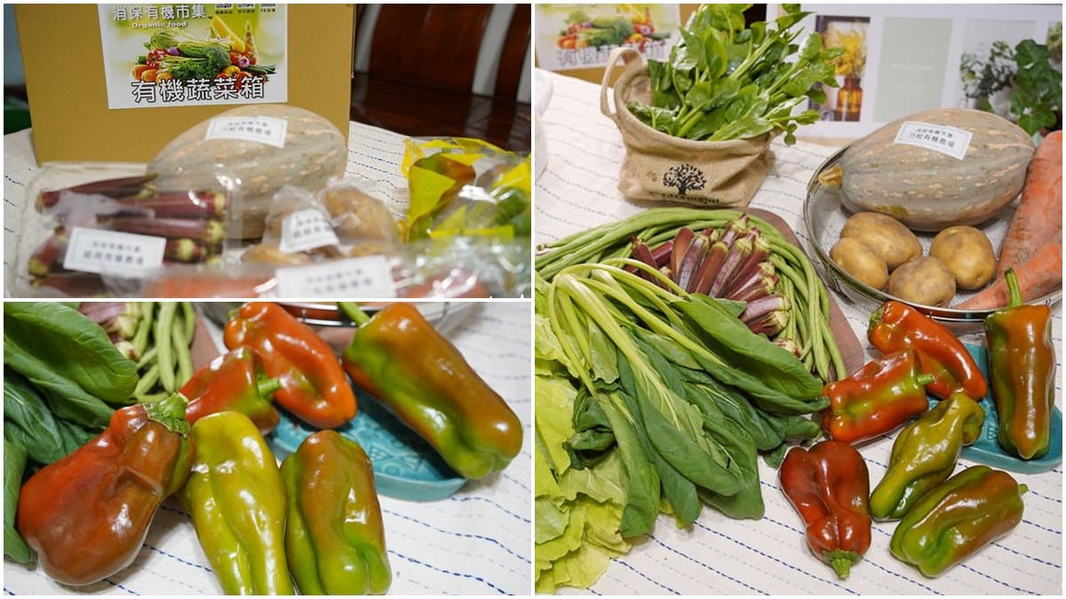 包辦１週食材！農夫市集「有機蔬菜箱」只要680元，裝滿９種「５色蔬果」超划算