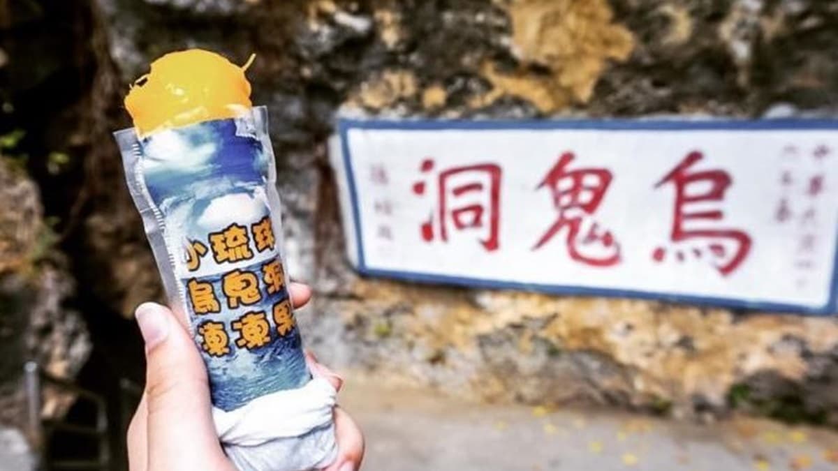 烏鬼洞鮮採凍凍果