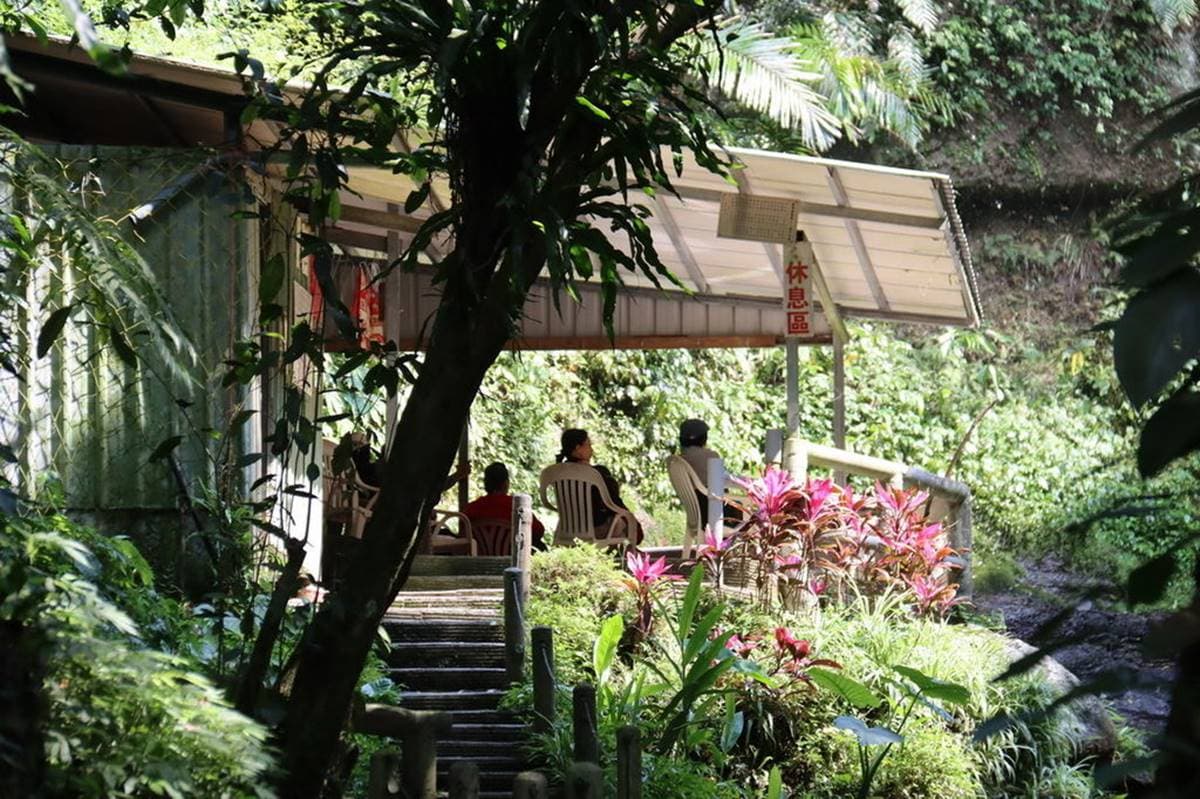 消暑祕境再+1!20分鐘「叢林步道」可賞瀑布、蕨類生態,還能走「輪胎小道」看美景 消暑祕境再+1!20分鐘「叢林步道」可賞瀑布、蕨類生態,還能走「輪胎小道」看美景