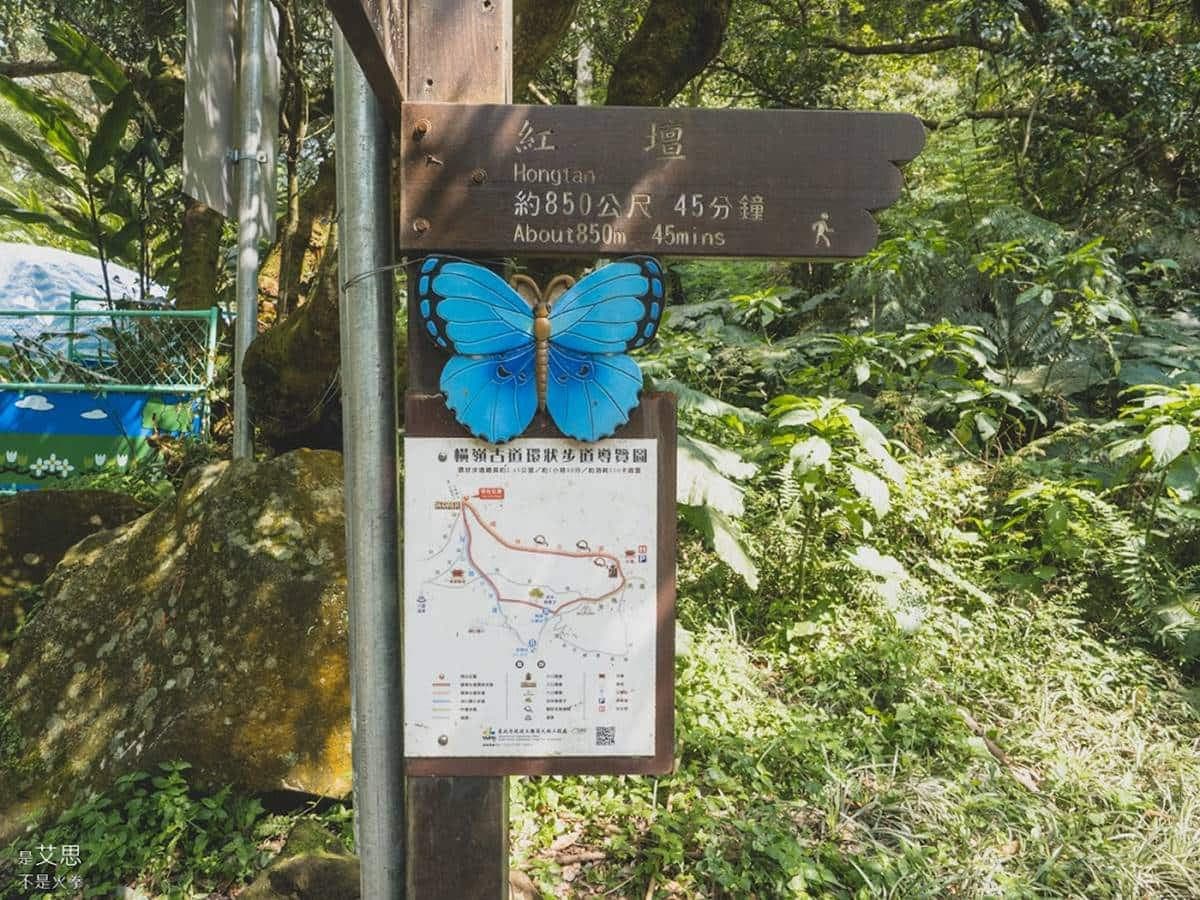 秒飛京都！美拍「竹蔭隧道」彷彿置身嵐山，「800公尺古道」散步走完只要40分