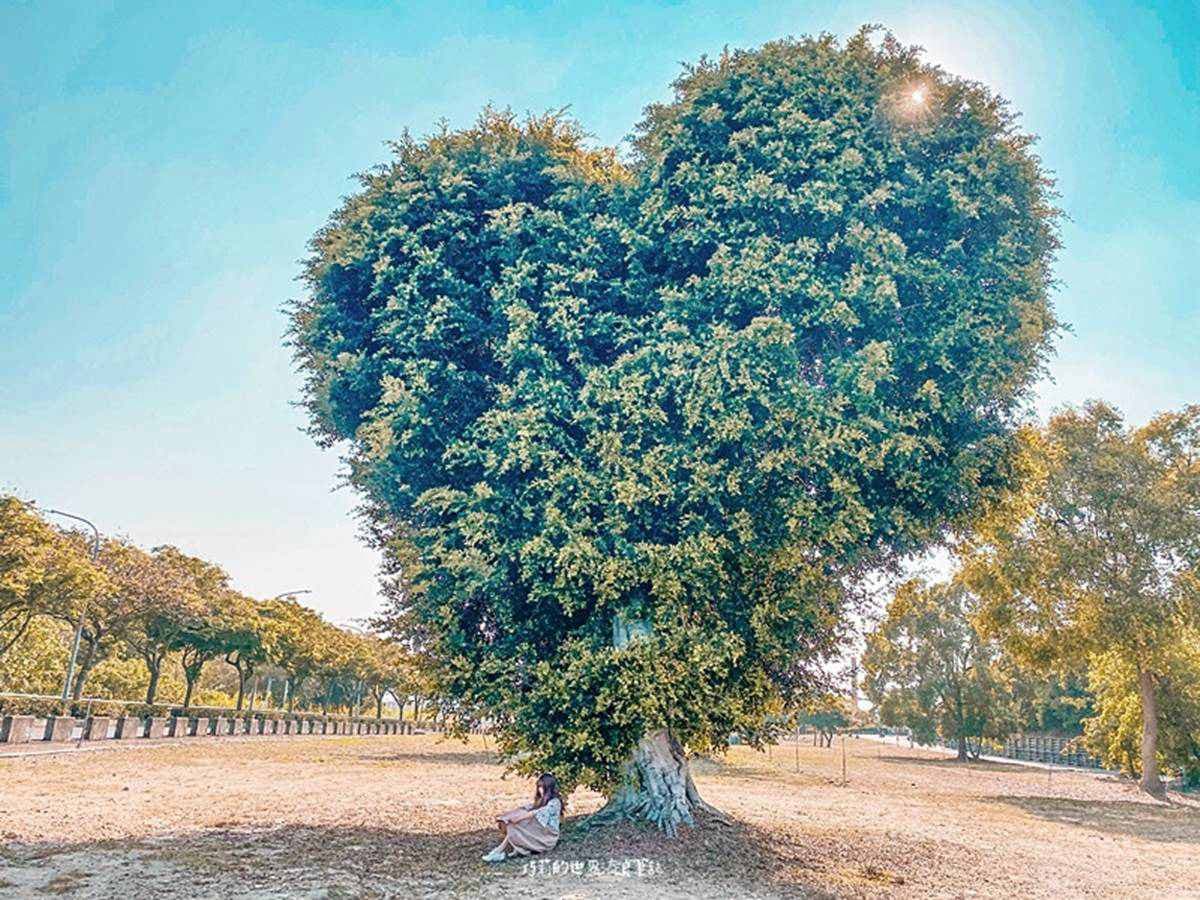 七夕耍浪漫0元!15處放閃免費打卡點:LOVE傳聲筒觀景台、純白旋轉橋、陸地版藍眼淚 七夕耍浪漫0元!15處放閃免費打卡點:LOVE傳聲筒觀景台、純白旋轉橋、陸地版藍眼淚