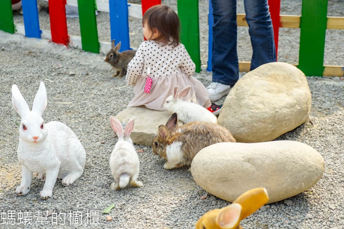 只要50元嗨整天！雲林全新「鹿營親子農場」：餵梅花鹿、拍巨大稻草捲、玩滑草