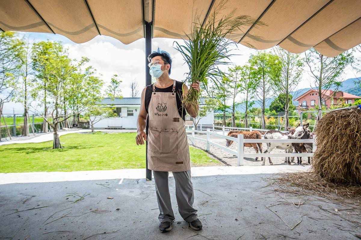 親子景點再+1!近距離餵食「史瑞克小驢」、超萌梅花鹿,還能打卡鄉村風農場 親子景點再+1!近距離餵食「史瑞克小驢」、超萌梅花鹿,還能打卡鄉村風農場