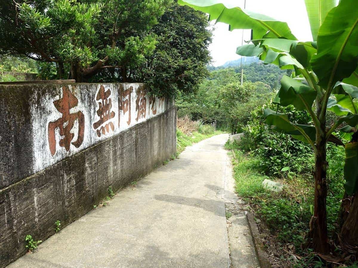 親子出遊首選！桃園生態農場餵食超萌「水豚君」，還有小孩最愛釣蝦區