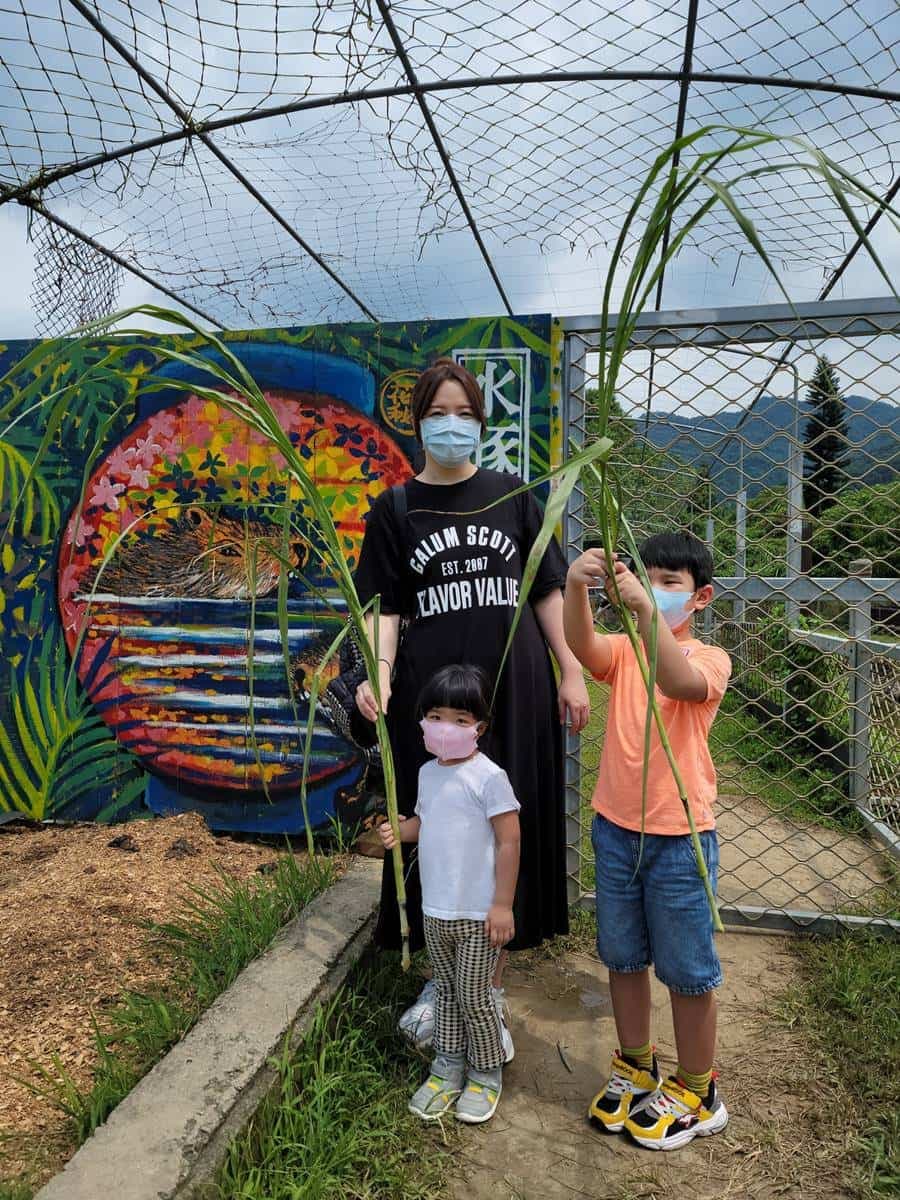 親子出遊首選！桃園生態農場餵食超萌「水豚君」，還有小孩最愛釣蝦區