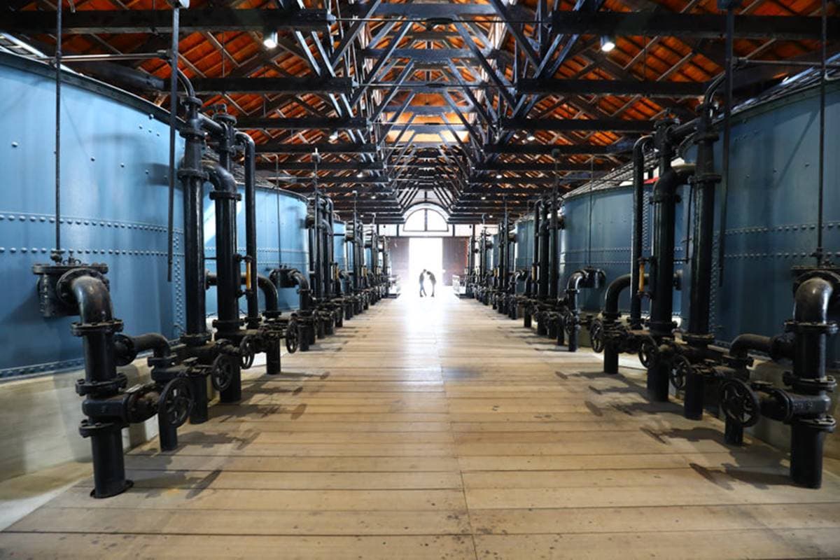 帶毛孩出遊首選！台南「水道博物館」有寵物專屬公園，還能打卡百年水管古蹟