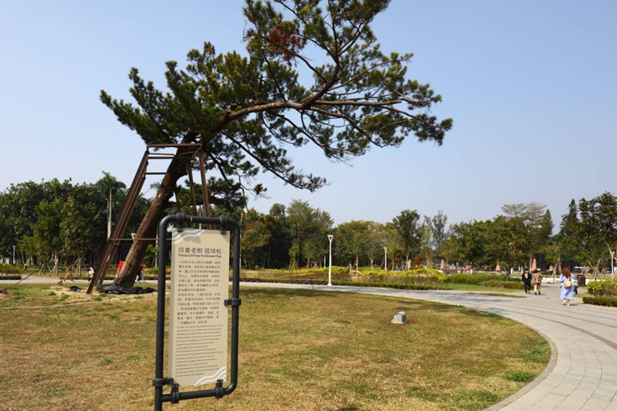 帶毛孩出遊首選！台南「水道博物館」有寵物專屬公園，還能打卡百年水管古蹟