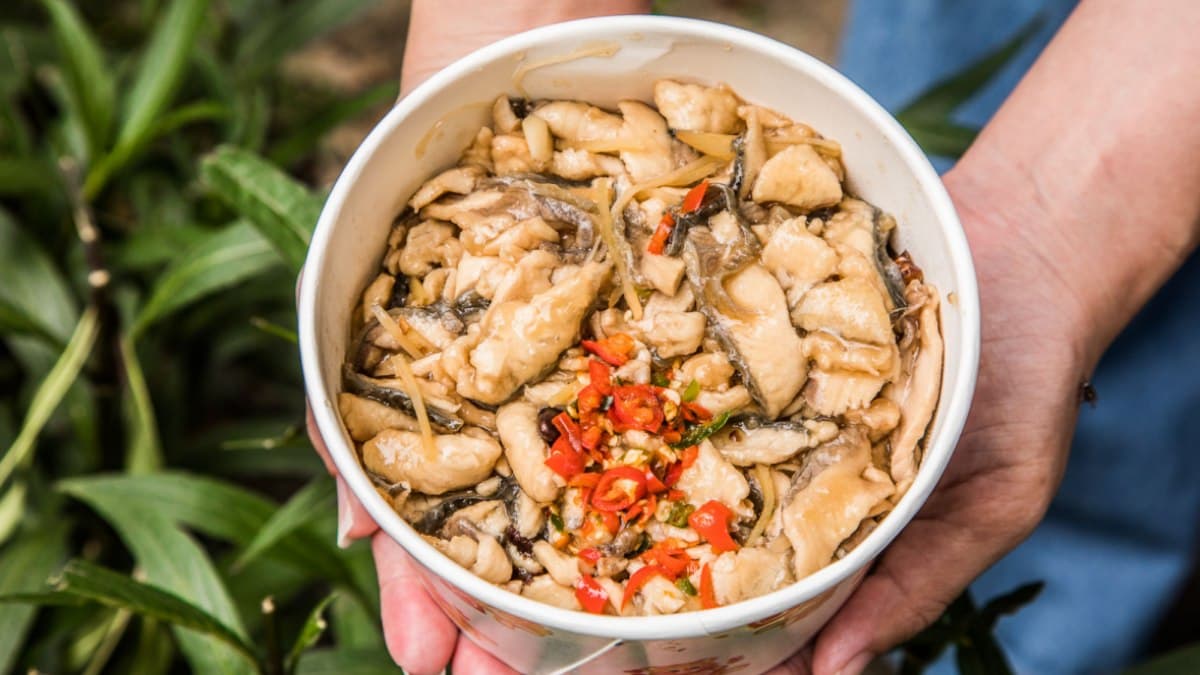 紅到韓國去!三重超夯「虱目魚蓋飯」肉堆到滿出來,招牌「豆豉魚頭」也必點