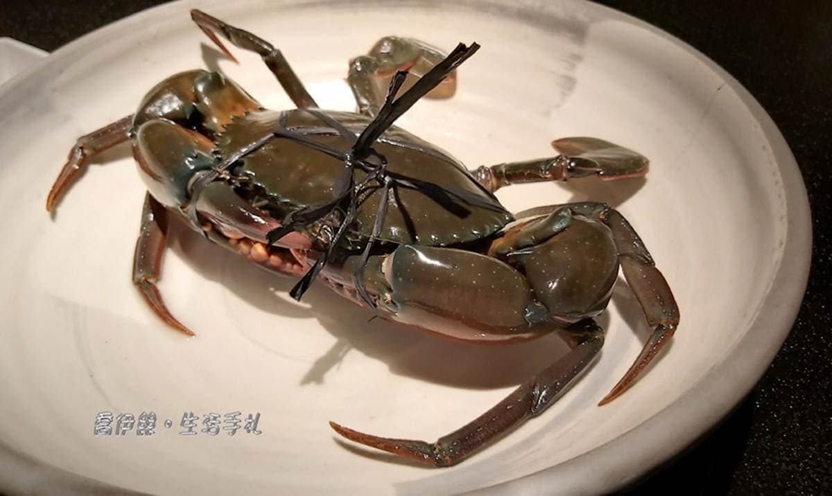 海鮮蛋糕想吃先預約！台北澎派鍋物必點「現流聚寶盆」，爽嗑沙公免動手