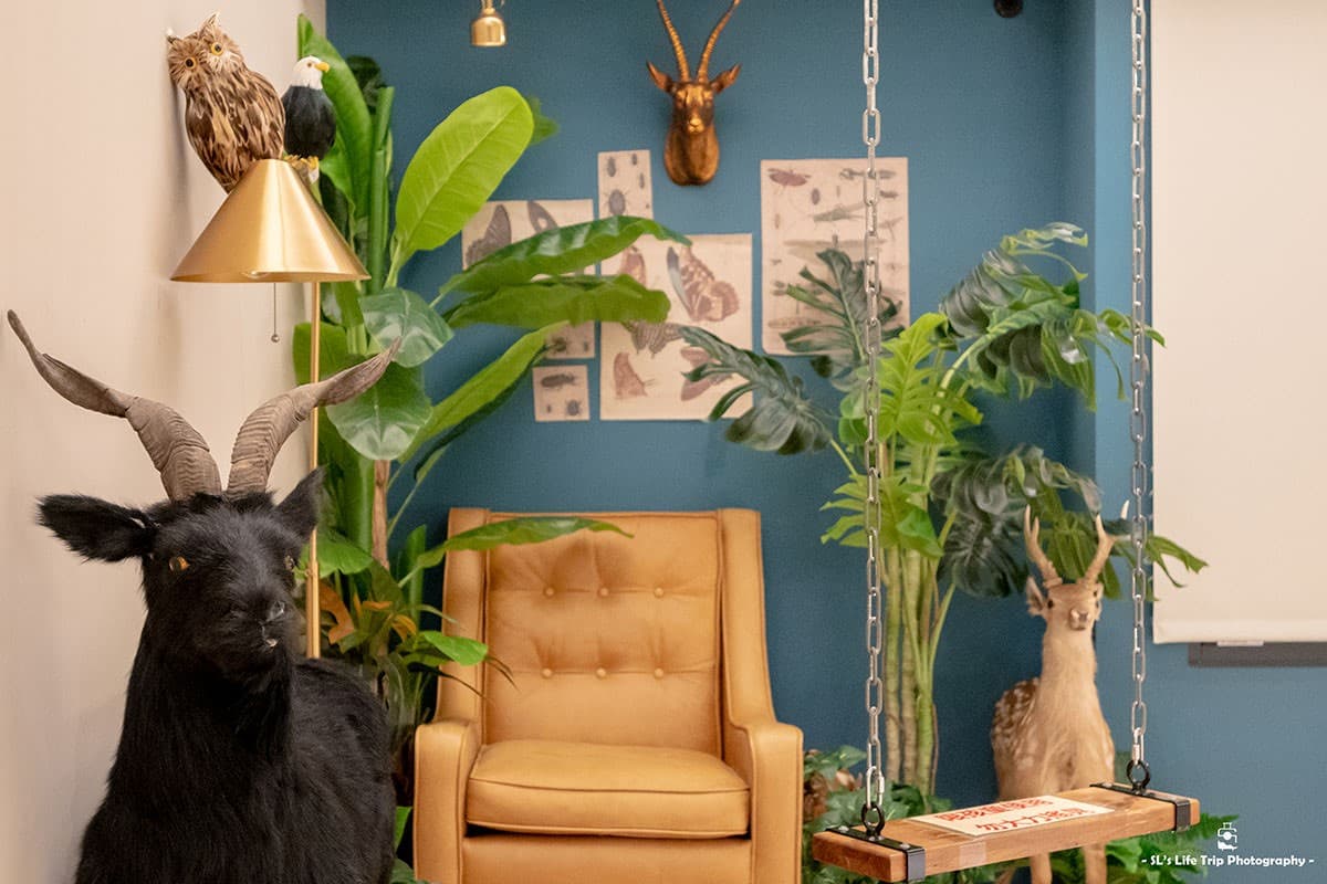 這不是展覽館！鶯歌「親子旅店」美拍動物造景，房內蛋型床鋪、小帳篷超吸睛