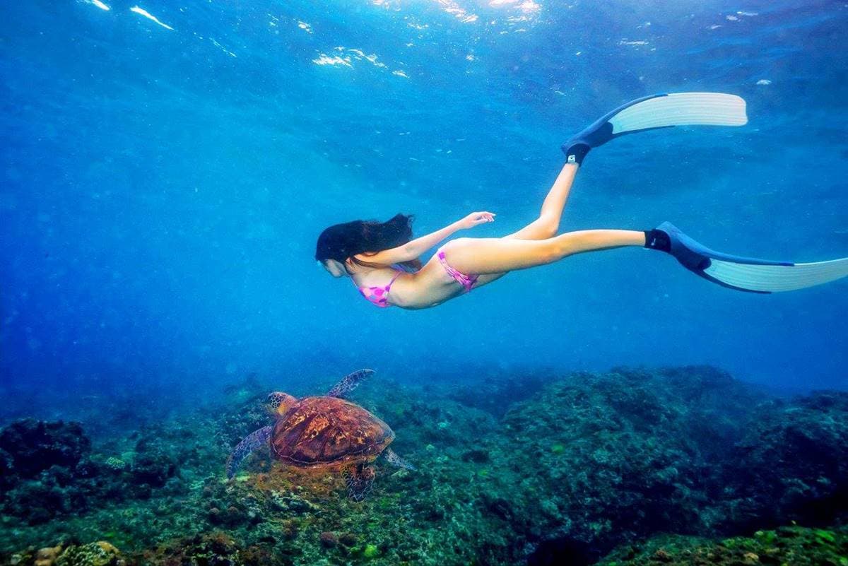 網美必衝！墾丁預約制「潛水活動」體驗變身美人魚，還能與海龜共遊海底世界