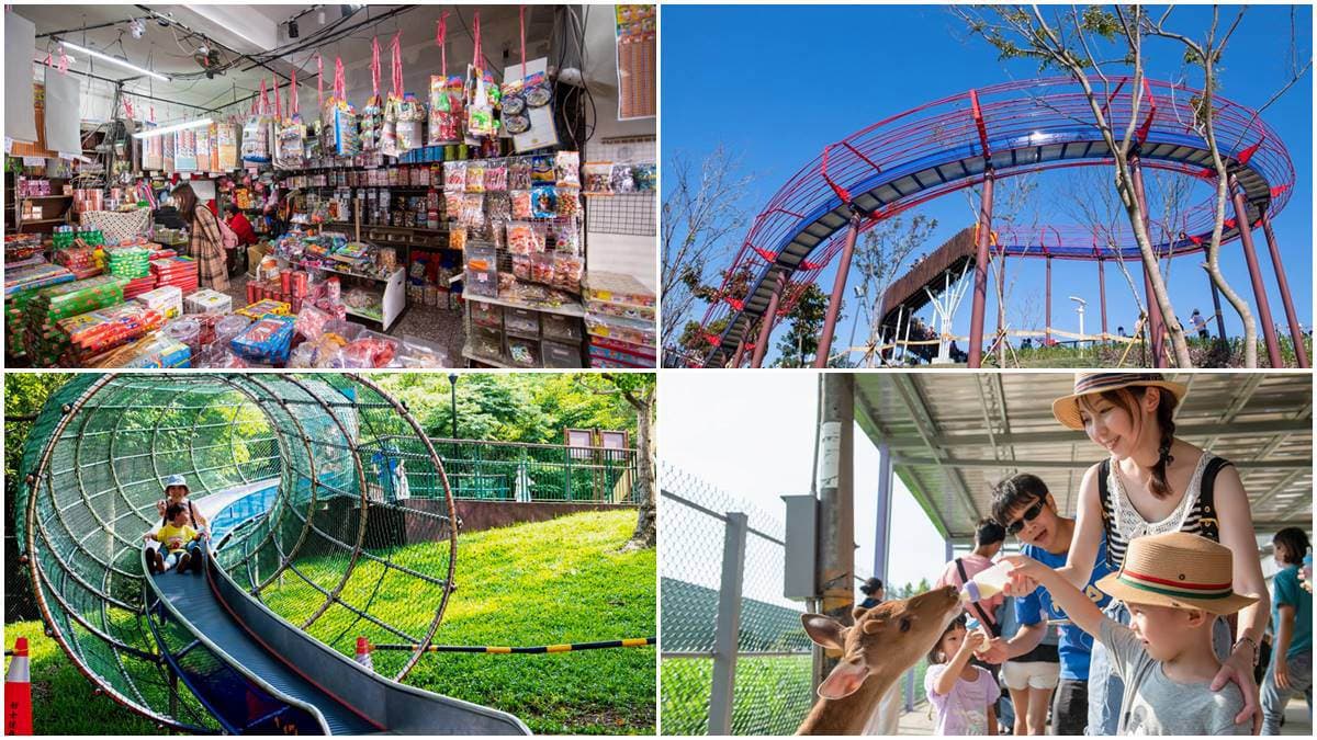 快抓小孩放電！親子遊桃園必衝４行程：溜50公尺滾輪滑梯、餵超萌梅花鹿