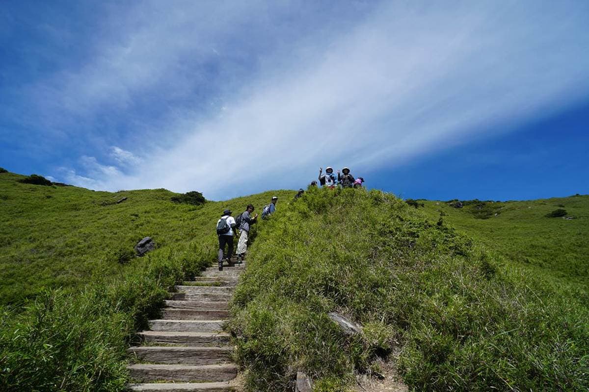 爬合歡山沒你想得難!「入門3路線」新手攻頂不用1小時,第2條網美最愛 爬合歡山沒你想得難!「入門3路線」新手攻頂不用1小時,第2條網美最愛