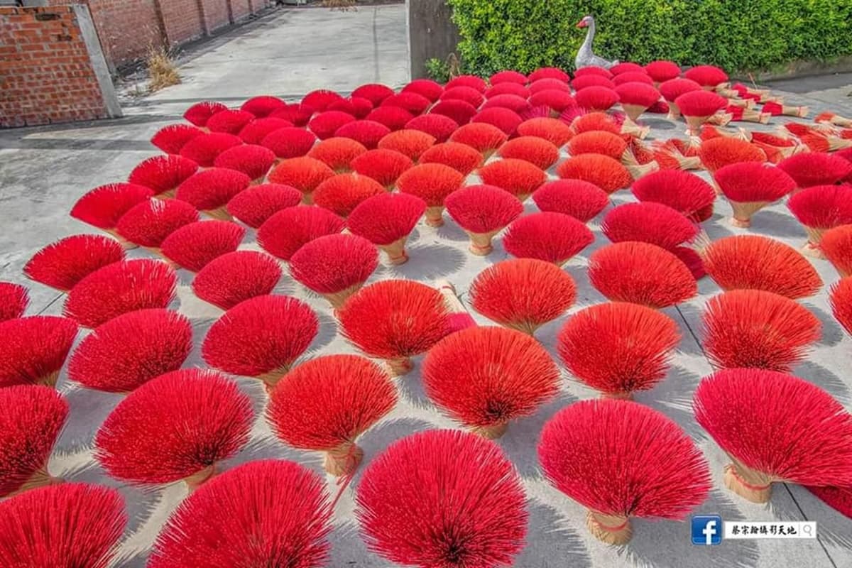 「粉紅波波草花海」夢幻必拍!嘉義曬香腳超吸睛,網驚呼:像巨大粉撲 「粉紅波波草花海」夢幻必拍!嘉義曬香腳超吸睛,網驚呼:像巨大粉撲