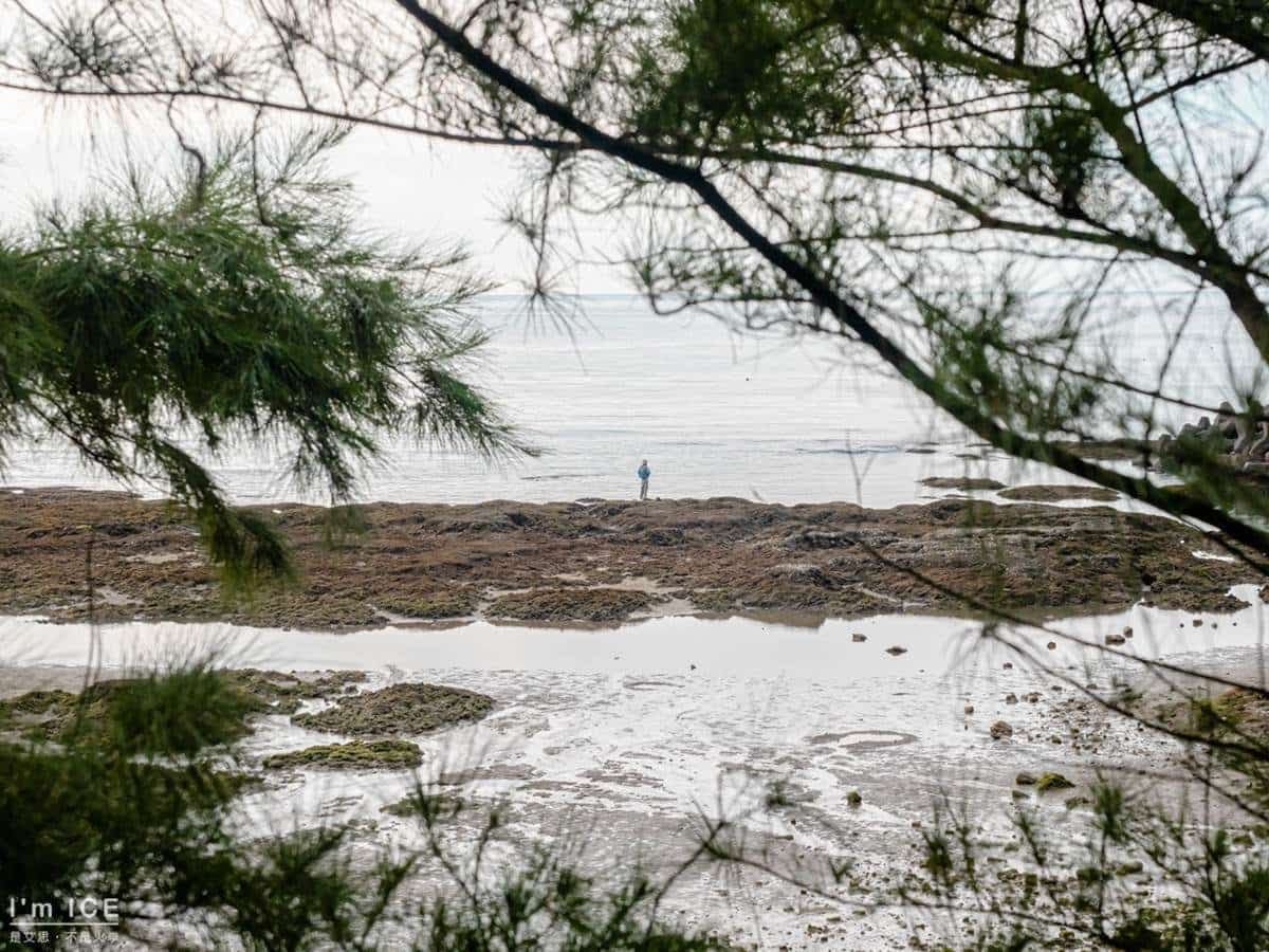 朝聖周董電影拍攝地！新北「祕境步道」賞迷人海景，還能美拍「手捧夕陽」照