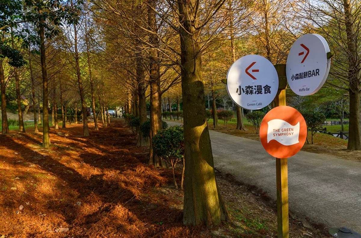 全台６大賞楓、落羽松夯點！爽玩台版哈比屋、小豬農場，再加碼買千送千好康