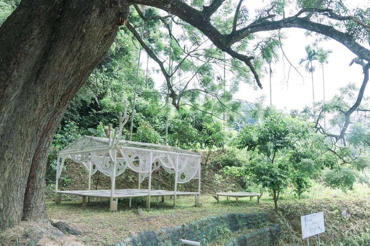 苗栗神祕網美景點！打卡百年水圳古道，美拍「大鳥巢」、純白編織床
